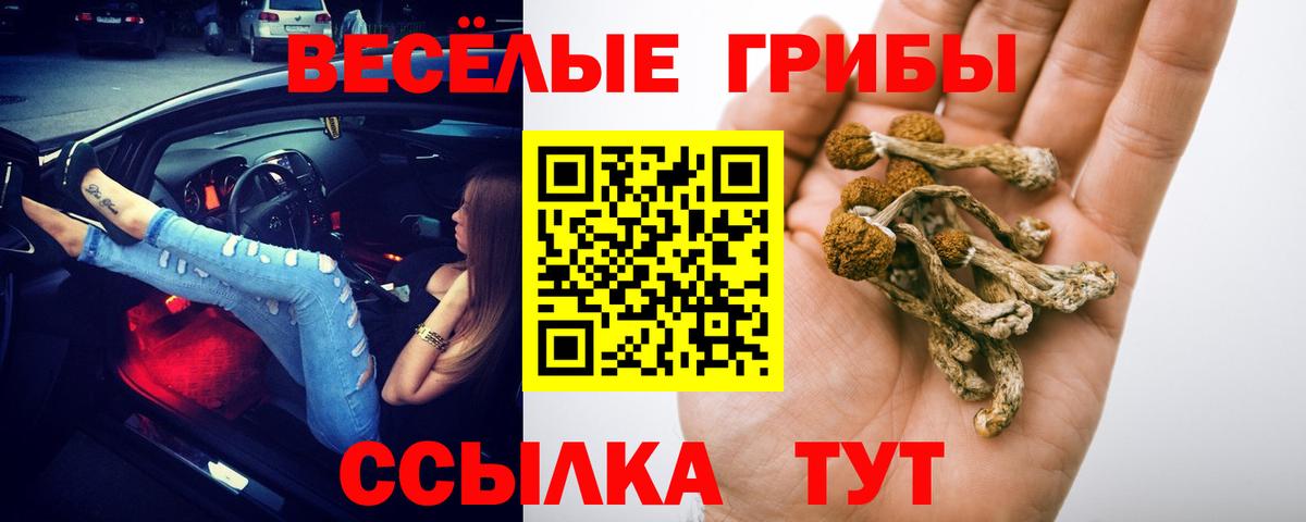 Надым  Псилоцибиновые грибы GOLDEN TEACHER  наркотики  Вход с VPN 